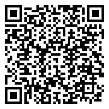 13015381 13015381